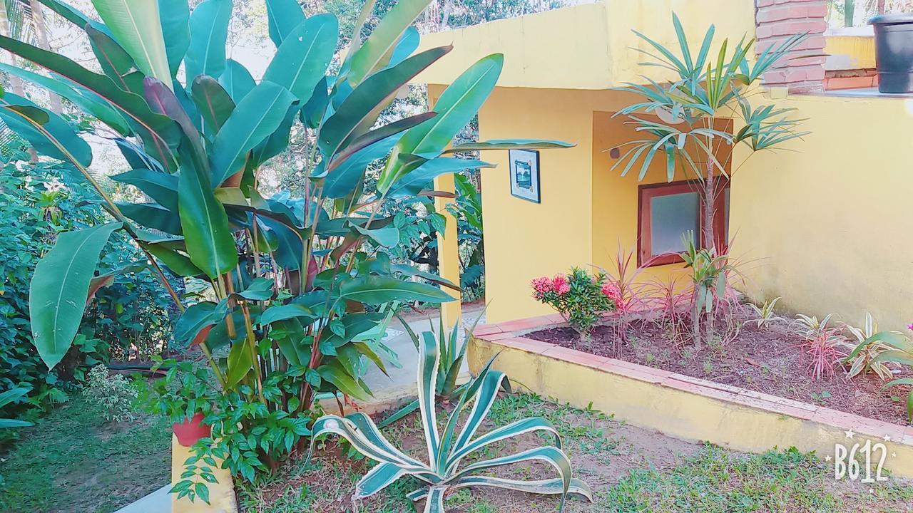 Canto de la luna Parati Exterior foto